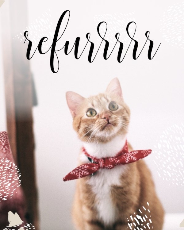 IG4632-Best Show FC Refer Digital Graphic Small.jpg