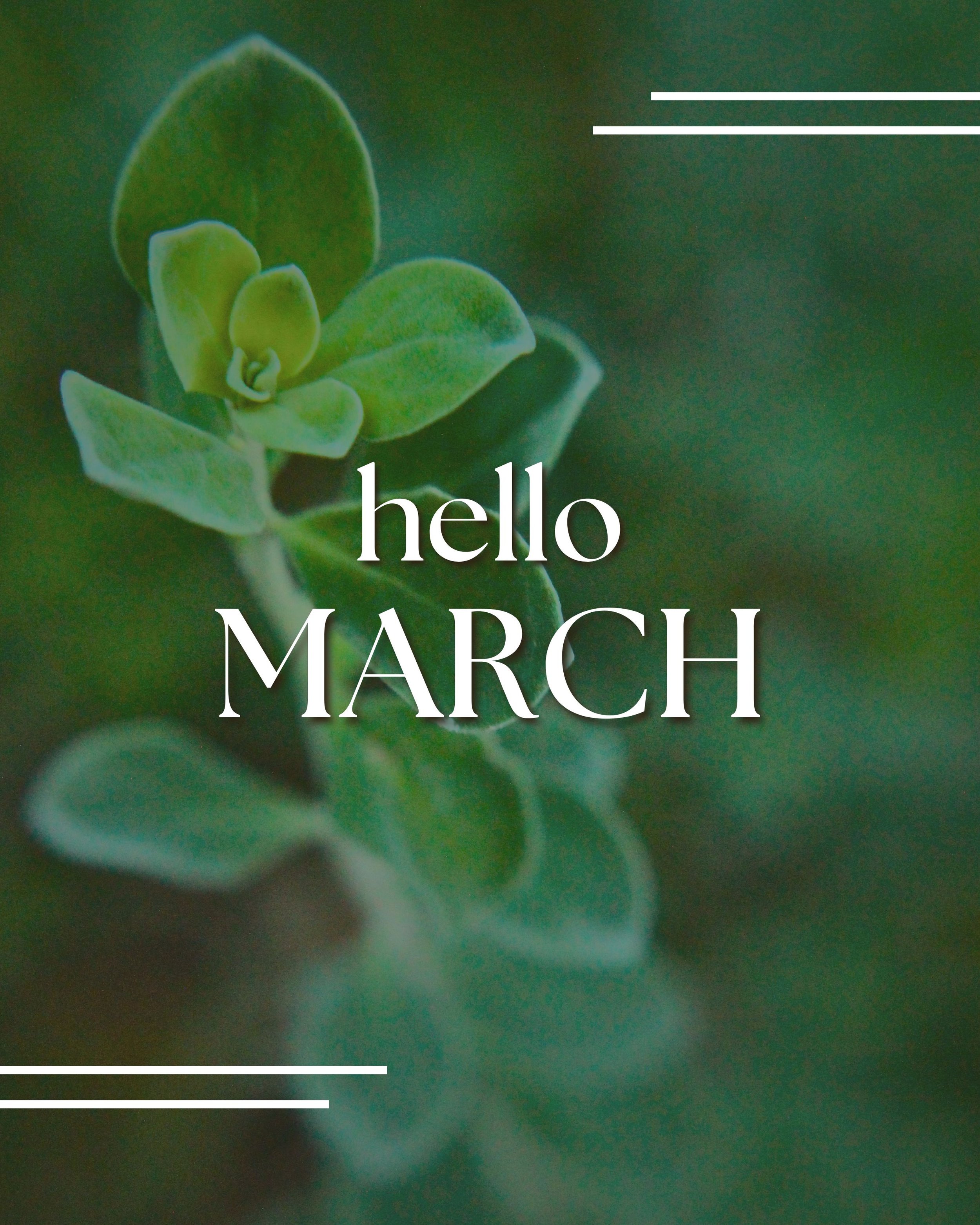 CAIG5359-Hello March Natural.jpg
