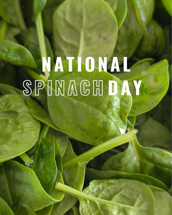 CAIG7201-March Spinach Day 2.jpg