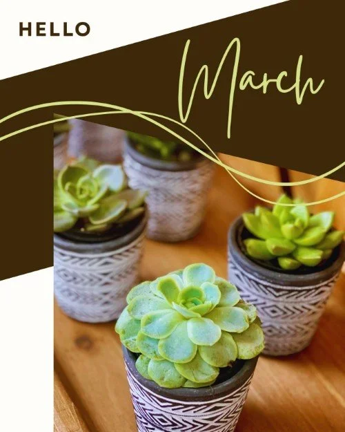 CAIG5335-Hello+March+Botanical.webp