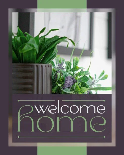 CAIG6762-House+Plant+Welcome+Home.webp