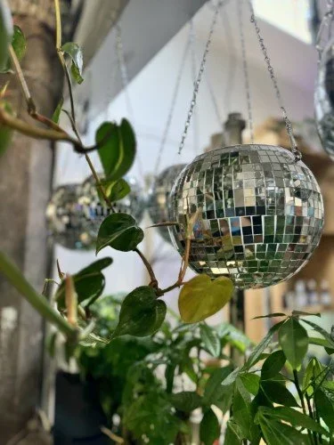 DISCO LIVING + NTL CEREAL DAY