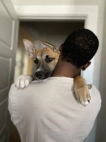 NTL PUPPY DAY + NTL CHIP AND DIP DAY