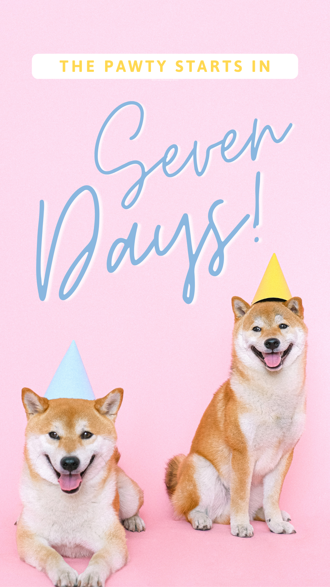 CAIGS3653-Event Countdown Party Dogs 2.png