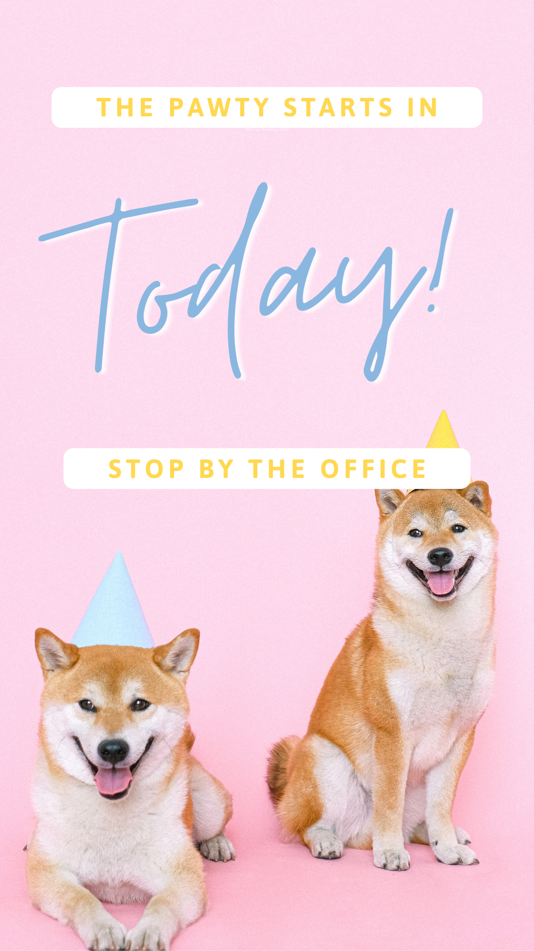 CAIGS3653-Event Countdown Party Dogs 9.png