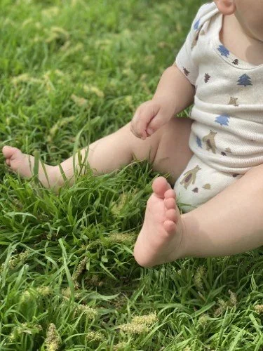 Stock+Photo+Baby+Grass.webp