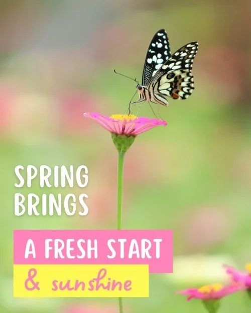 CAIG5661-Spring+Fresh+Start.webp