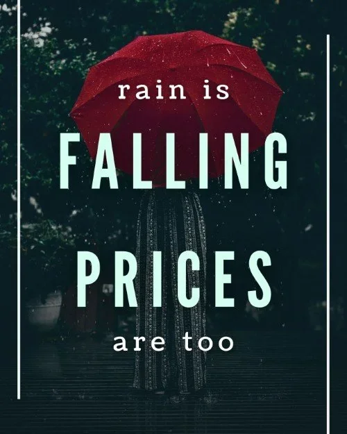 CAIG7098-Spring+Rain+Falling+Prices.webp