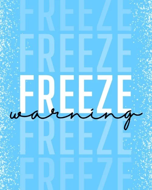 CAIG7367-Freeze Warning Notice.jpg