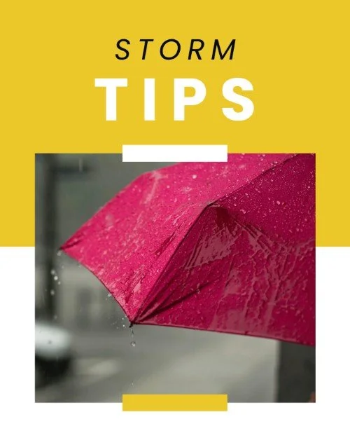 CAIG7382-Storm Tips.jpg