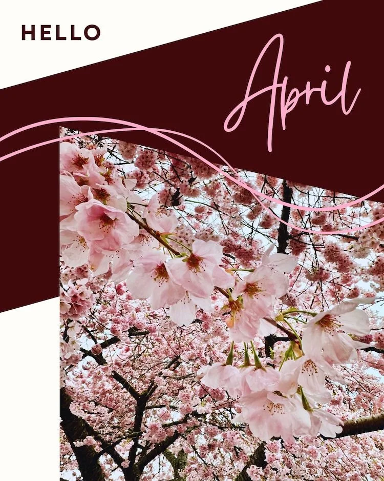 CAIG5336-Hello April Botanical.jpg