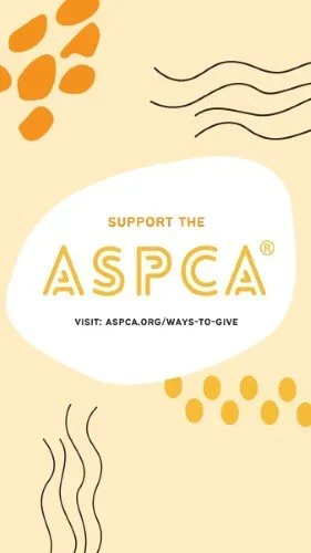 CAIGS2265-ASPCA+Donation+Link+2.webp
