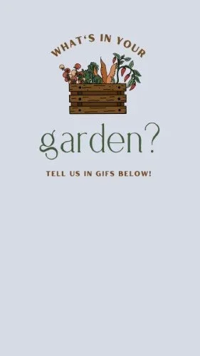 CAIGS1273-Garden+What's+In+It+Engagement.webp