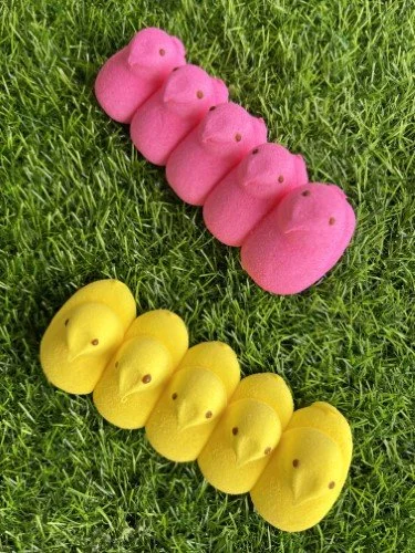 Stock Photo Peeps (2).jpeg