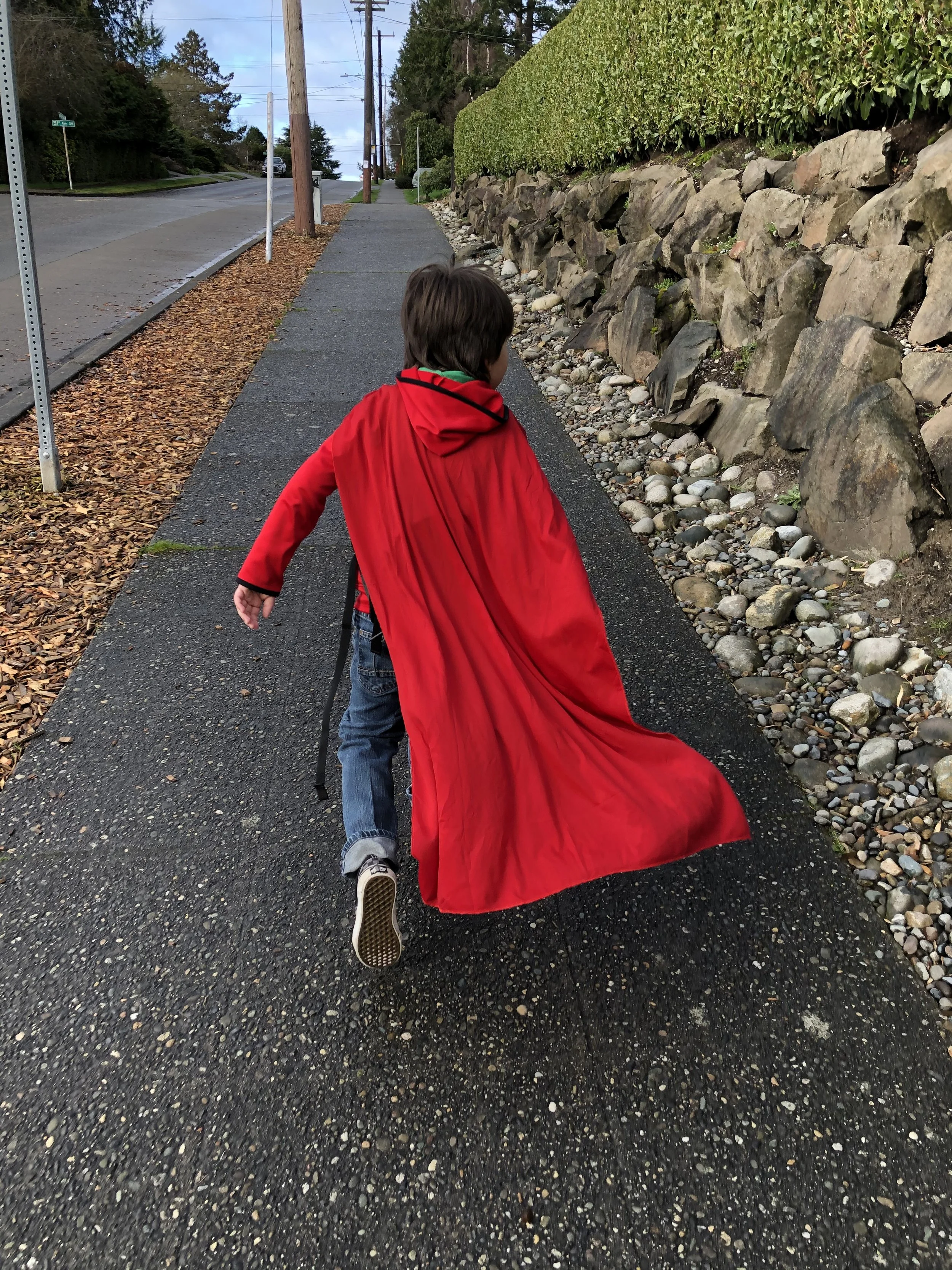 Stock Photo Costume Super Man Cape.jpg