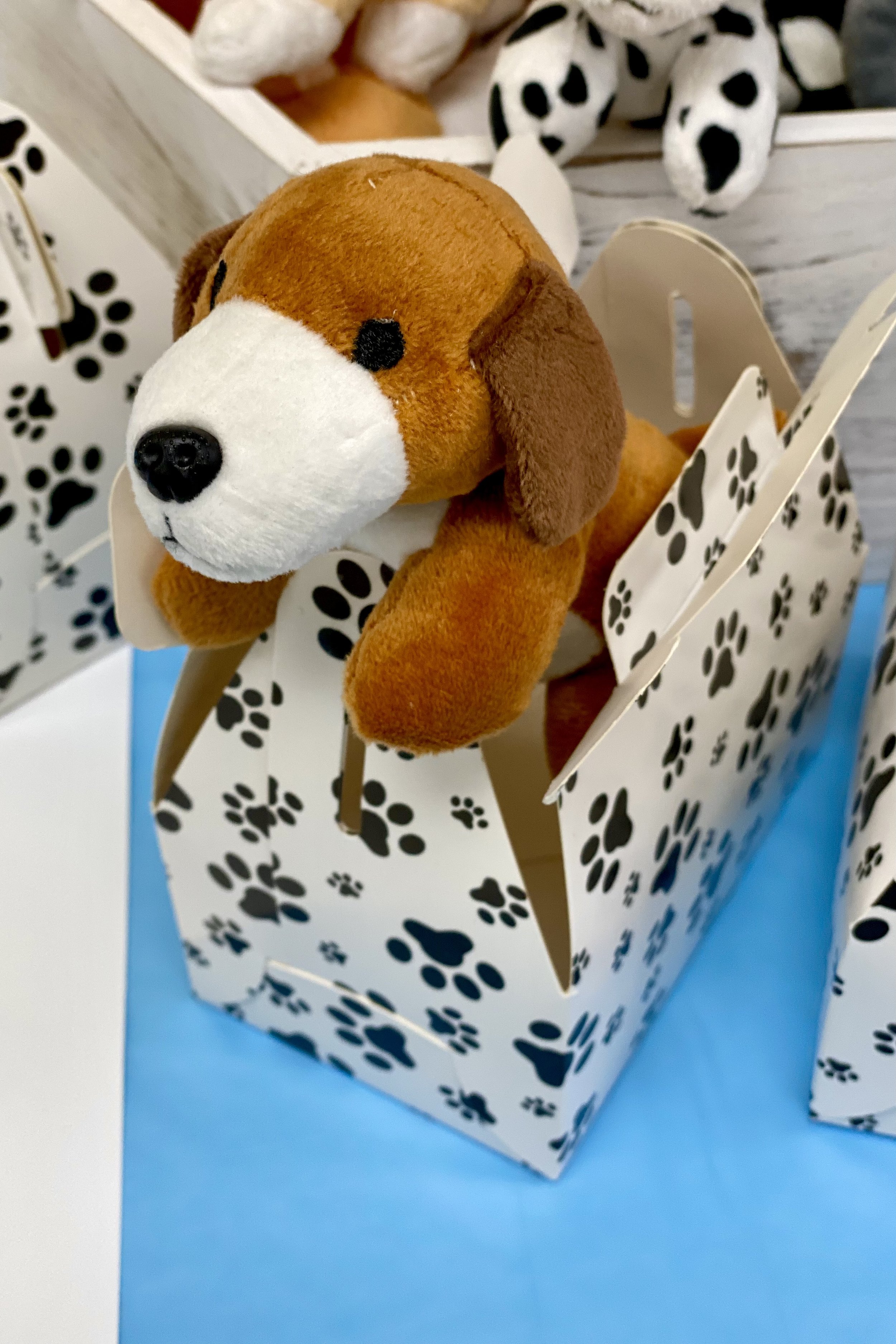 Stock_Photo_Pet_Party_Stuffed_Dog.jpeg