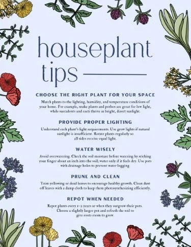 CA4884-Houseplant+Tips.webp