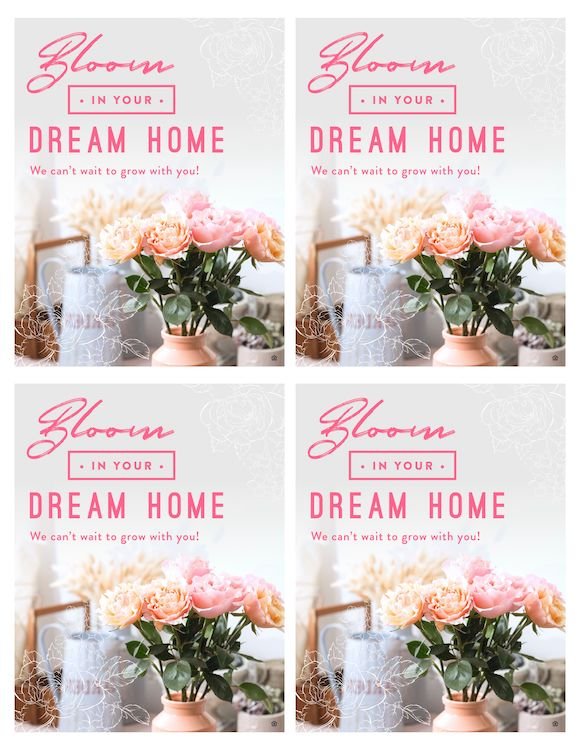 62437 Seed Bloom Outreach QP.jpg