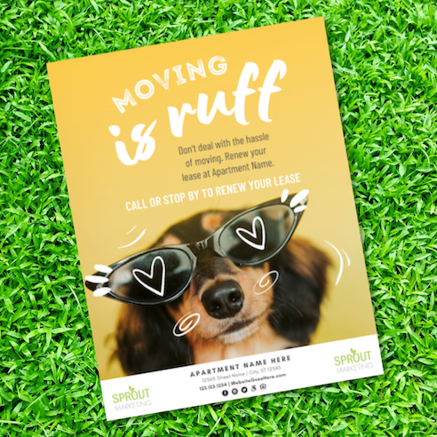 Pet-Friendly Renewal: Moving is Ruff