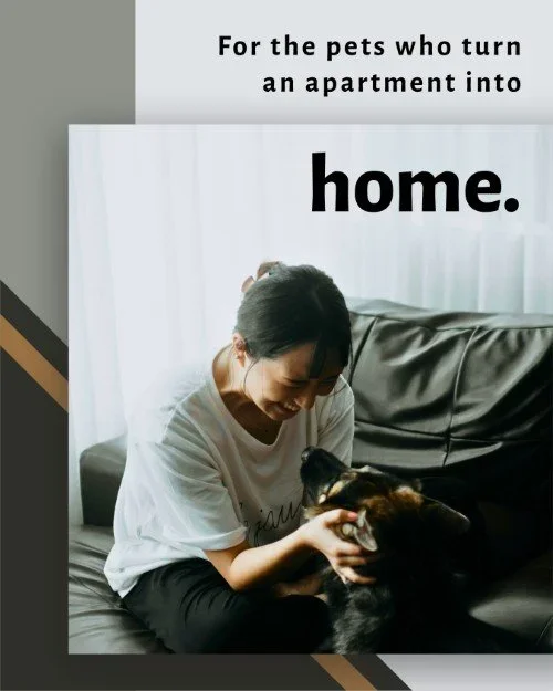 CAIG7122-Pets+Make+Apartment+Home.webp