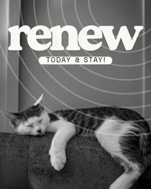 CAIG6657-Pet-Friendly+Cat+Renewal.webp