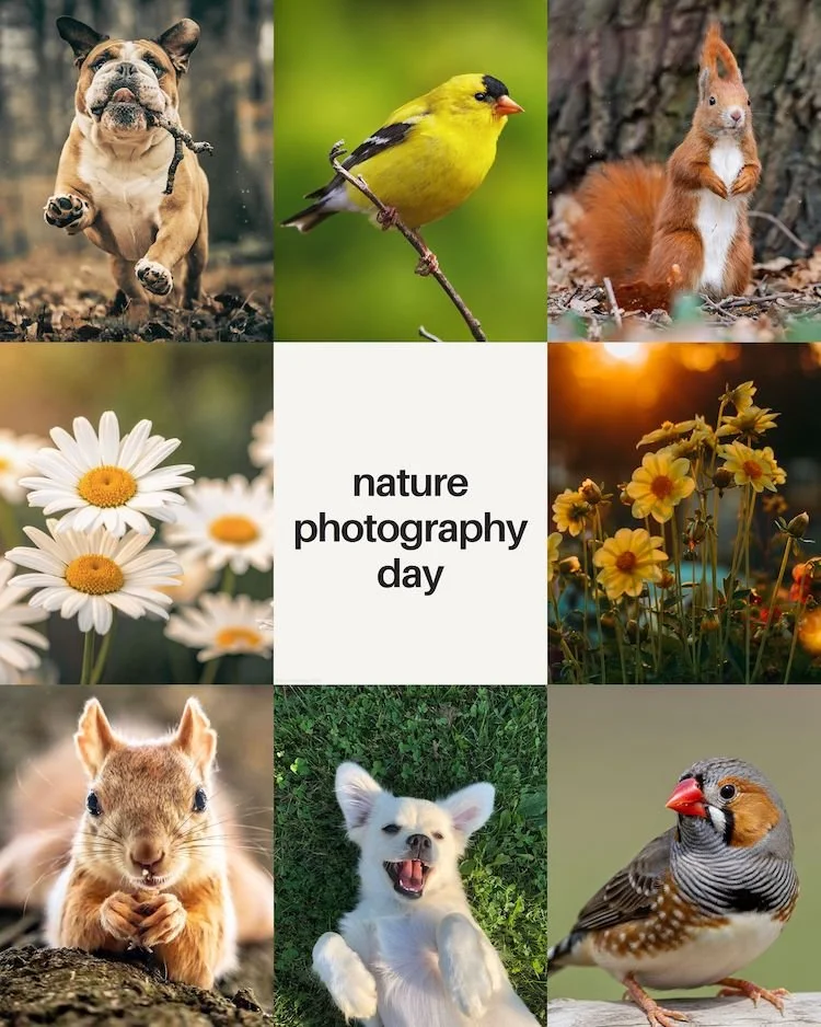 CAIG7741-June Nature Photography Day.jpg