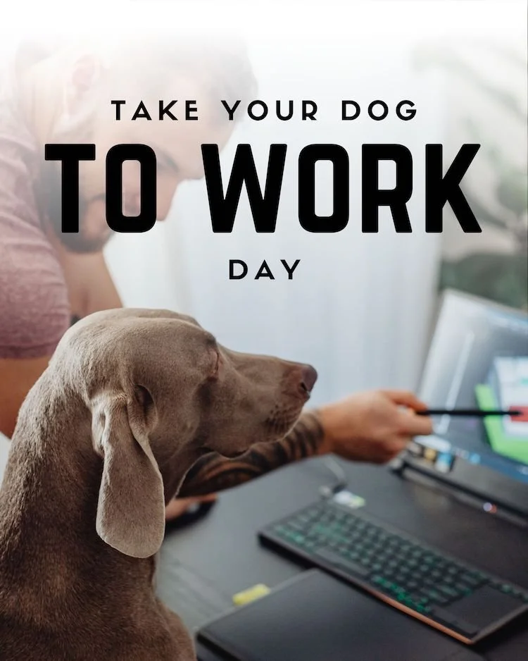 CAIG7752-June Take Your Dog to Work Day.jpg