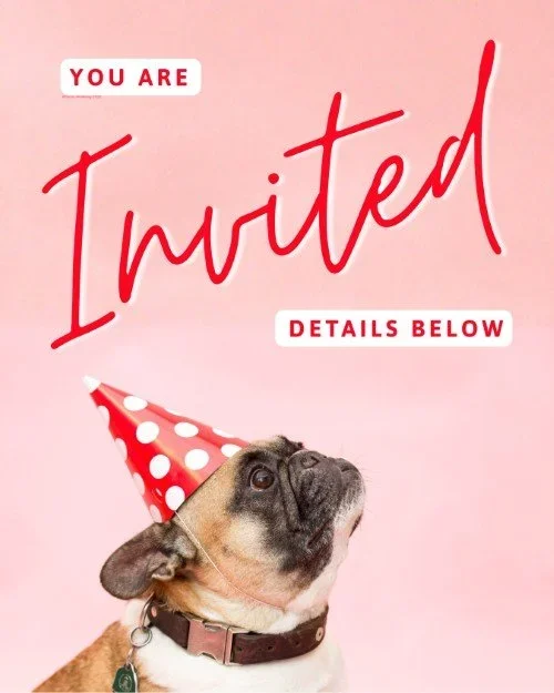 CAIG7300-Event+Countdown+Red+Dog+Invited.webp