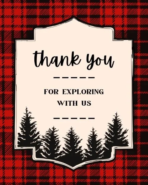 CAIG4007-Flannel+Follow-Up.webp