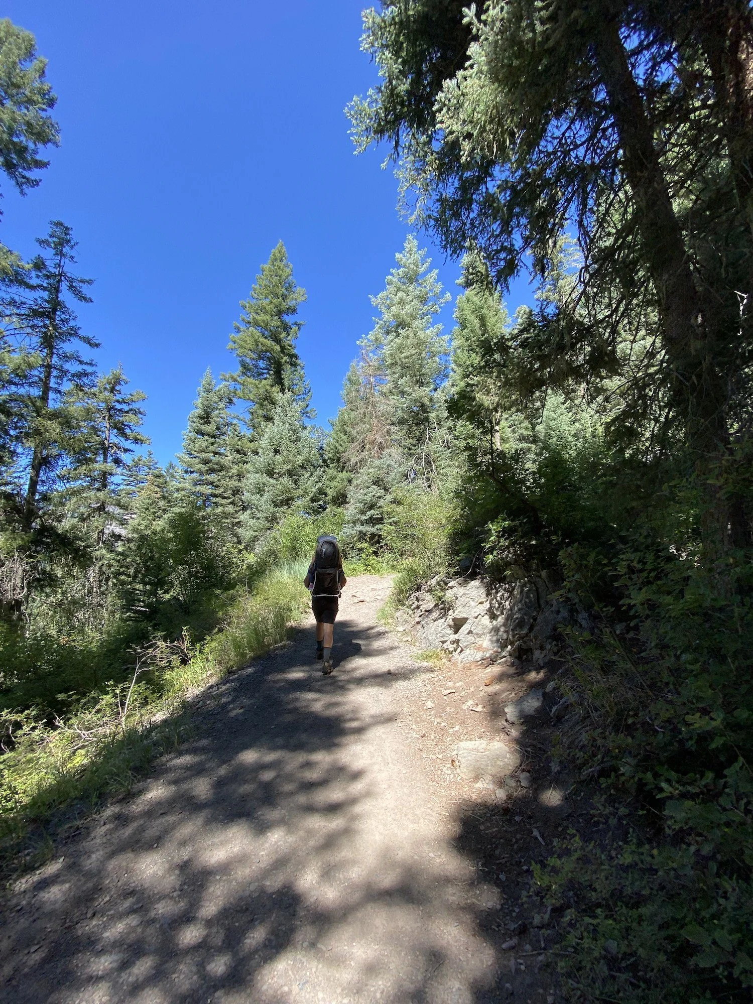 Stock Photo Hiking Treasure Falls.jpg