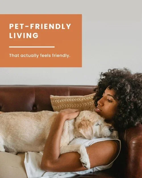 CAIG7128-Pet+Friendly+Living.webp