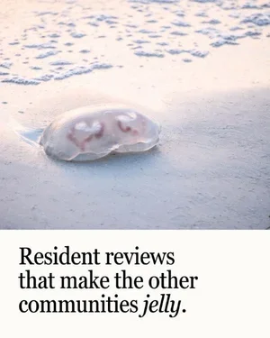 CAIG5860-Jellyfish+Resident+Reviews.webp