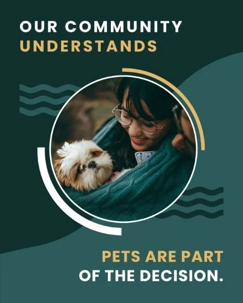 CAIG7129-Pet+Friendly+Decision.jpg.jpeg