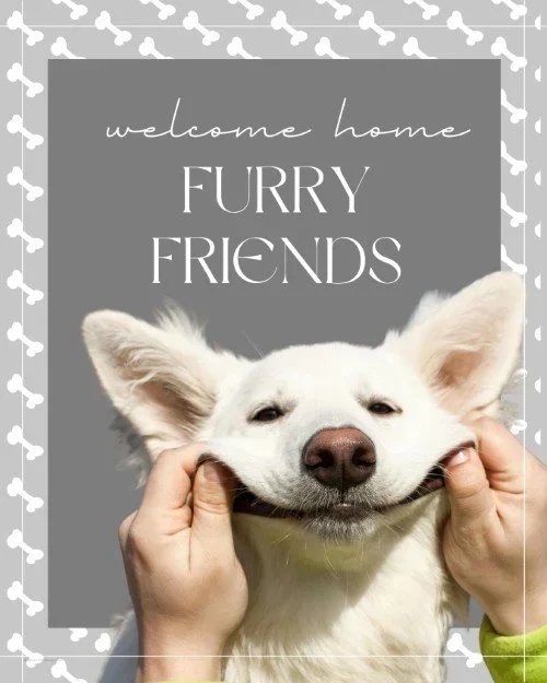 CAIG6973-Furry+Friends+Welcome+Home.jpg.webp
