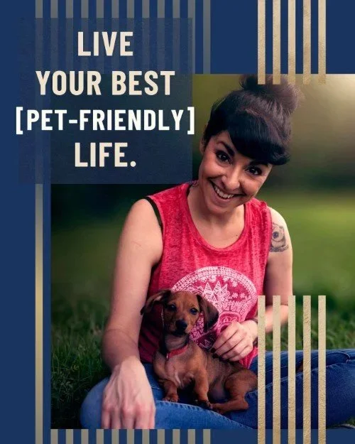 CAIG5811-Pet-Friendly+Dog+Life.jpg.jpeg