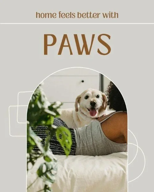 CAIG7125-Home+Feels+Better+With+Paws+2.jpg.jpeg