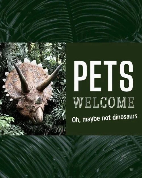 CAIG3760-Pets+Welcome+Dinosaur.jpg.jpeg