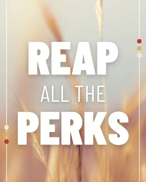 CAIG3853-Reap+Perks.webp