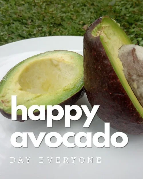 CAIG7908-July+Avocado+Day+2.webp