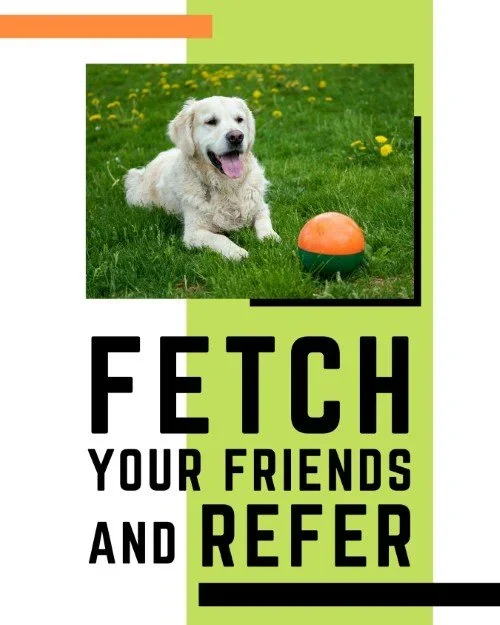 CAIG7364-Fetch+Friends+Referral.webp