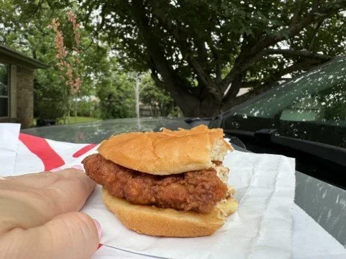Stock+Photo+Chicken+Sandwich+(6).webp