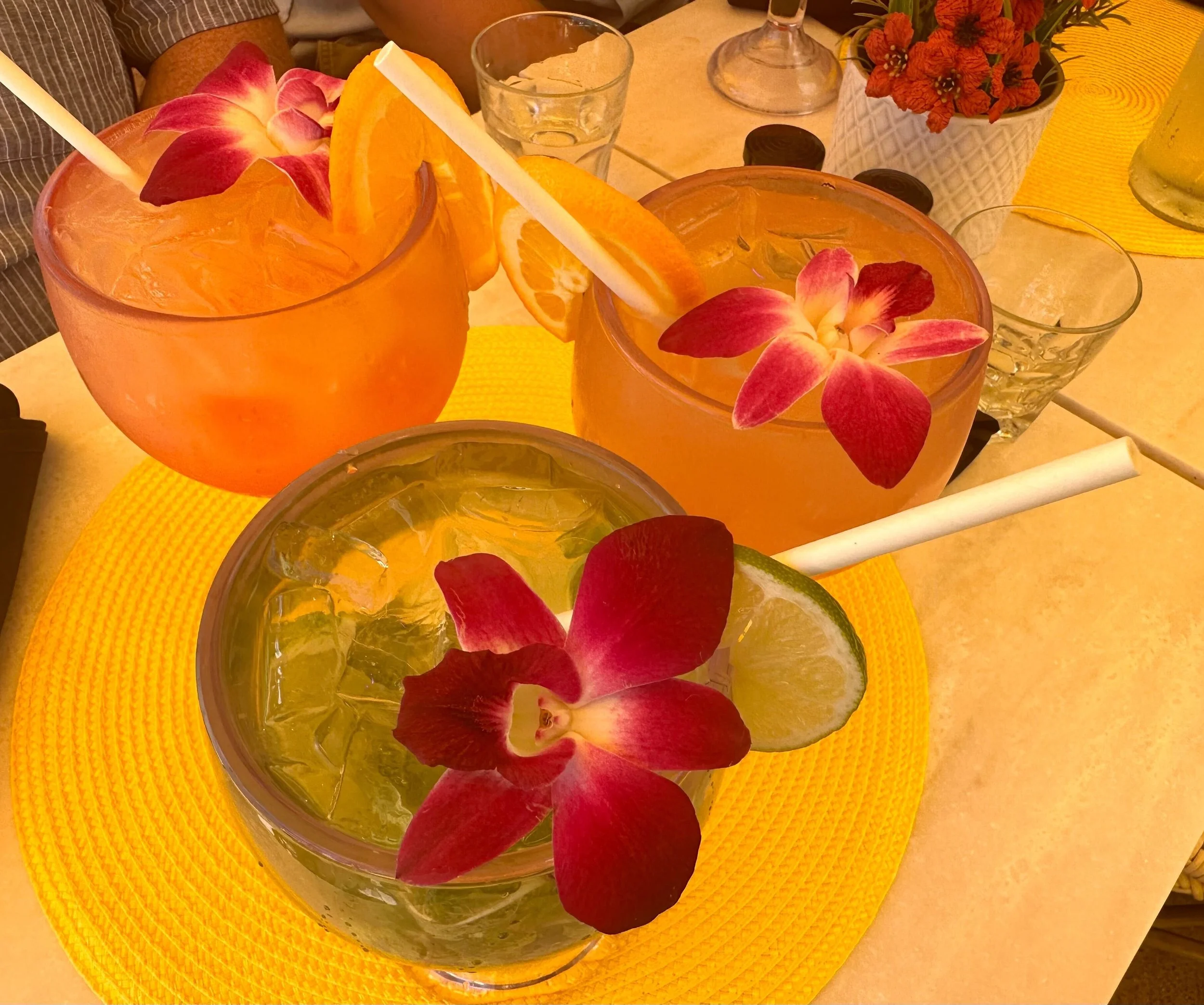 Stock Photo Tropical Mixed Drinks.jpg