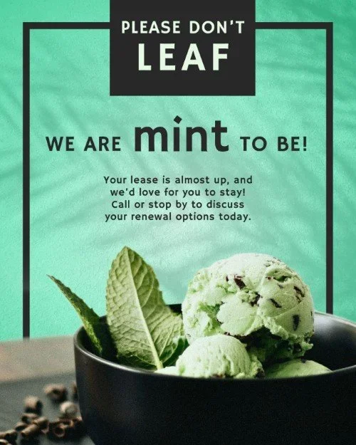 CAIG7705-Mint+Ice+Cream+Renewal.webp