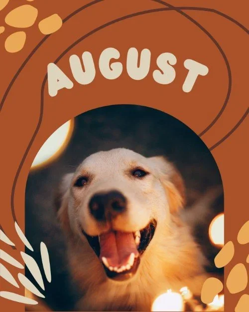 CAIG2519-Pets+August.webp