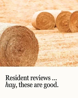 CAIG5864-Hay+Resident+Reviews.webp