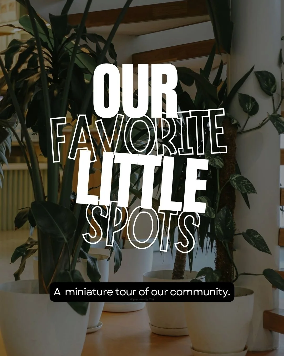 CAIG7979-Favorite Community Spots + ID.jpg