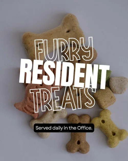 CAIG7984-Favorite+Community+Spots+Pet+Treats.webp