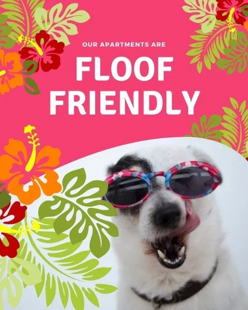 CAIG6970-Summer+Floof+Friendly+Outreach.webp