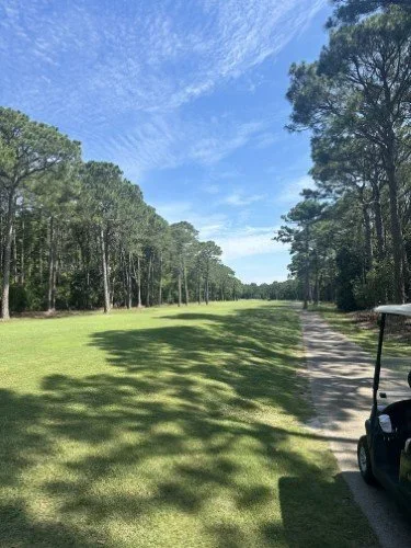 Stock+Photo+Golfing+Green+(1).webp