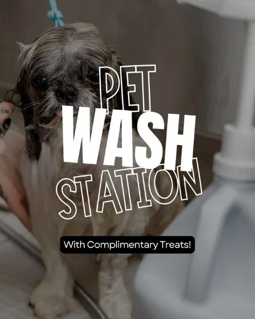 CAIG7986-Favorite+Community+Spots+Pet+Wash.webp